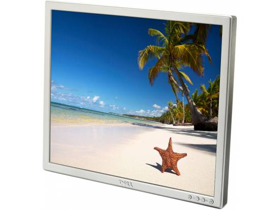 Dell SE197FP 19" TN LCD Monitor - No Stand - Grade B