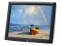Elo ET1529L-7CWA-1-GY-T-G 15" LCD Touchscreen Monitor - Grade C - No Stand