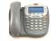 Avaya 4610SW 24-Button Black IP Display Speakerphone - Grade A