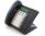 Mitel Superset 4025 14-Button Charcoal Digital Display Speakerphone - Grade A